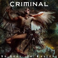 Downfall - Criminal